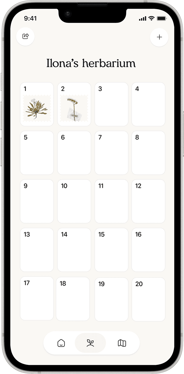 A herbarium collection in the Linnea app